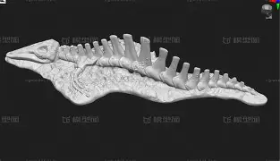 jinnianhui-?eM?鄹??昞m酦?▽漽鲸个芳??罉&amp;?Y攵?膮栙膁瑯勗u?u7?=9=KBx嫡Hc亽?乴of禉t粯Cc輓癇的简单介绍